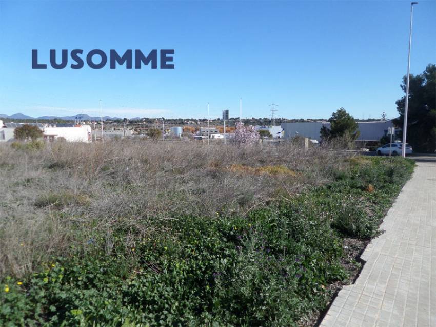 Descripción 463 - URBANO NO RESIDENCIAL.
Parcelas para hostales, hoteles y naves. 

Se venden parcelas urbanas consolidadas de uso terciario.
Desde 84.00